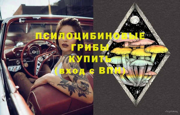 мяу мяу мука Балабаново